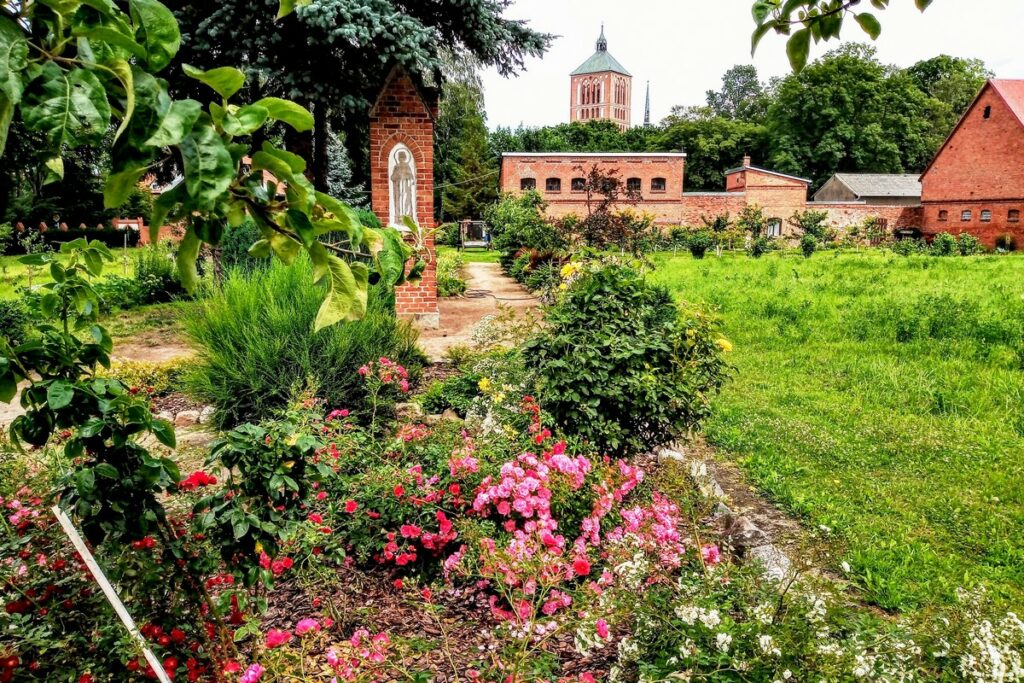 Braniewo. Widok od stronu ogrodu klasztornego na bazylikę św. Katarzyny