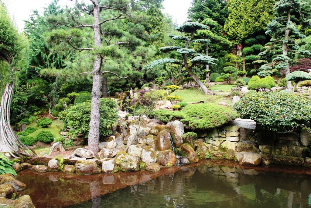 Ogród Japoński w Jarkowie. Jeden ze stawków na tym terenie