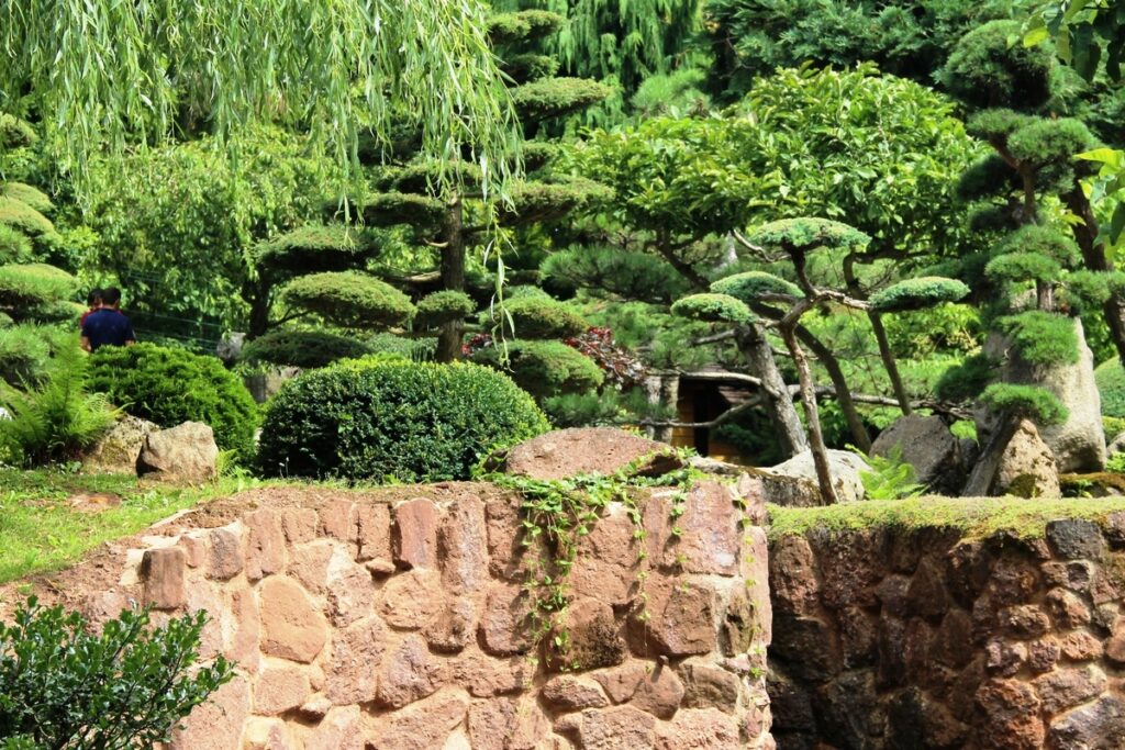 Ogród Japoński w Jarkowie. Zieleń nad wodospadem w ogrodzie