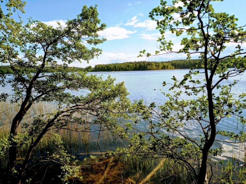 Swaderki. Jezioro położone wśród lasów, a więc wędkarstwo i zbieranie grzybów