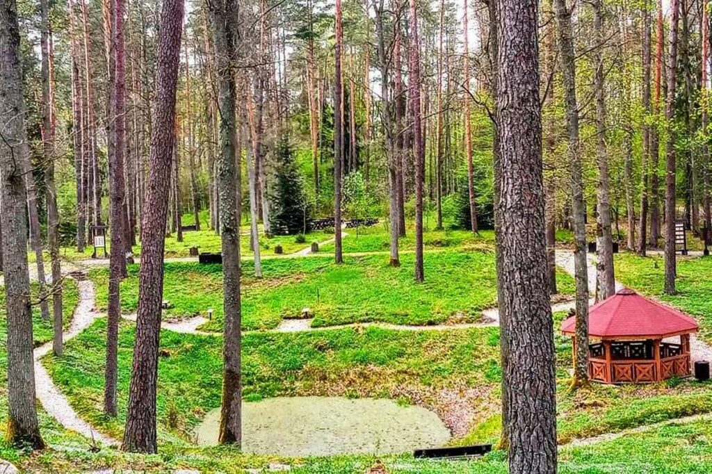 Leśne Arboretum Warmii i Mazur w Olkolicach Olsztyna - Kudypy