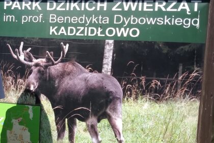 Kadzidłowo - park dzikich zwierząt